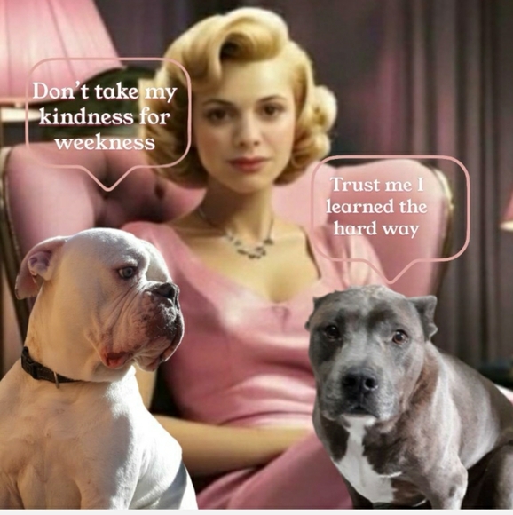 Share Show Live Listing 🎱 Add 2 to The Blue 🎱🎱🎱🎱🎱 - Picture 2 of 12